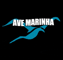 Bikini Avemarinhabeachwear GIF by Ave Marinha