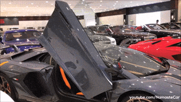 Race Get In GIF by Namaste Car