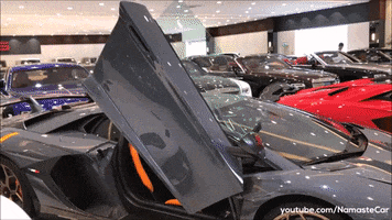 Race Get In GIF by Namaste Car