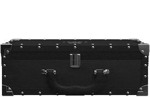 Angel Case Sticker by ANGELCHAMPAGNE