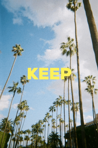 By Shellz GIF