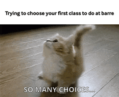 AleentaClub barre choices choosing barre class GIF
