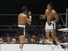 PROMOUNTINGS GIF