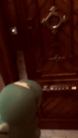 Monguer GIF