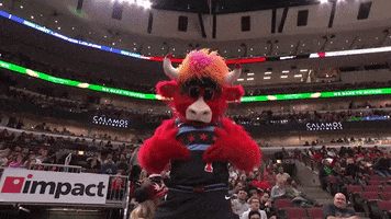Represent Benny The Bull GIF by Chicago Bulls