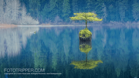 Gavin Hardcastle - Fototrip animated GIF