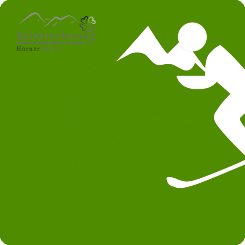 Balderschwang sport winter bayern skiing GIF