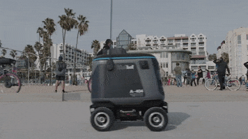 Food Delivery GIF by Kiwibot