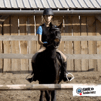 Black Horse Jump GIF by SWR Kindernetz