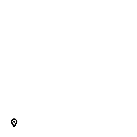 Springbok Sticker