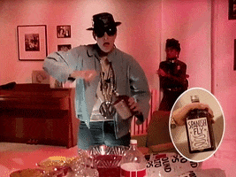 Mike D Punch GIF by Beastie Boys