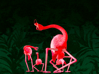 Flamingos meme gif