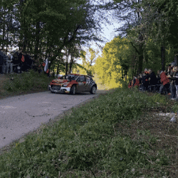 Jump Wow GIF by FIA World Rally Championship