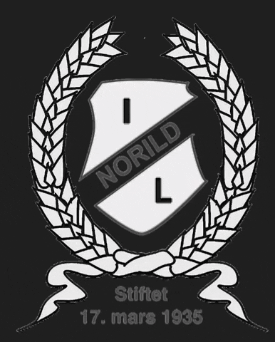 norild_official norild GIF