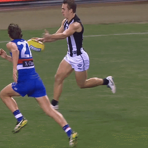 Collingwood Magpies Afl GIF by CollingwoodFC