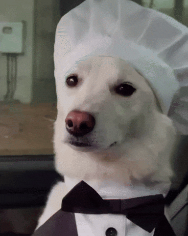 Dawg GIF