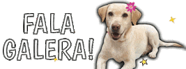 Labrador Fala Galera Sticker by Go Italy Cidadania Italiana
