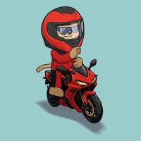 Lets Go Dancing GIF by Wise Monkey Meme