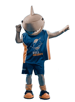 Stand Out Bull Shark Sticker by Bond University for iOS & Android | GIPHY