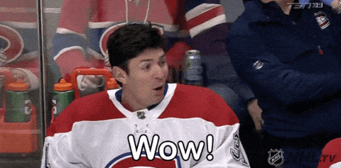 Giphy - Ice Hockey Reaction GIF by NHL