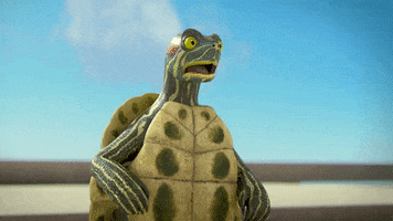 Sorry Turtles GIF by MightyMike