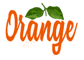 Orange County Florida Sticker by ocfl