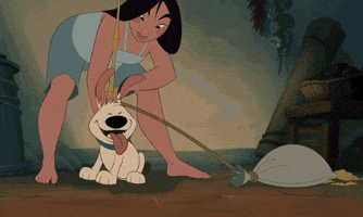Little Brother Dog GIF by Disney