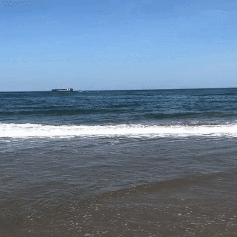 Visit Virginia Beach GIF