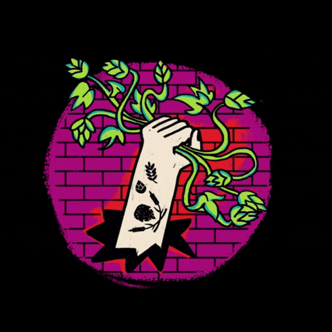 Warszawski Festiwal Piwa GIF