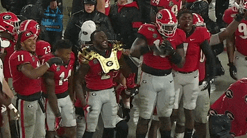 Celebrate College Football GIF by SEC Network