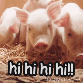Hello GIF