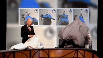 Revealing Bbc GIF by The QI Elves
