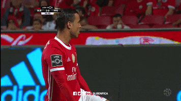 Sl Benfica Push GIF by Sport Lisboa e Benfica