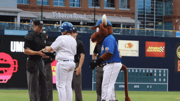 Durham Bulls GIF