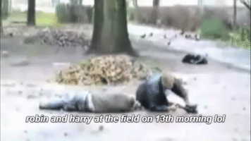 belfastbaps  GIF