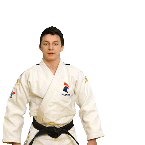Picard Romain Sticker by France Judo