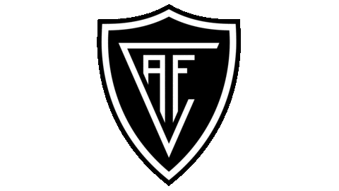 Portugal 2liga Sticker By Academico De Viseu For Ios Android Giphy