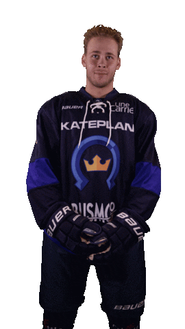 Kiekko-Espoo Sticker