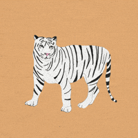 Big Cat Cats GIF by katdrawsit