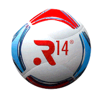 R14 Agencia Sticker