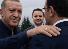 Rte Reis GIF