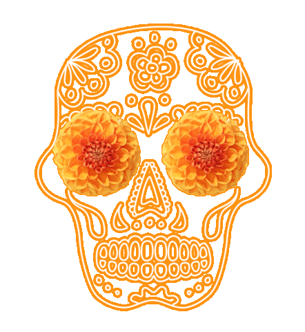 Day Of The Dead Wow Sticker by Flower Council