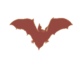 Halloween Wink Sticker