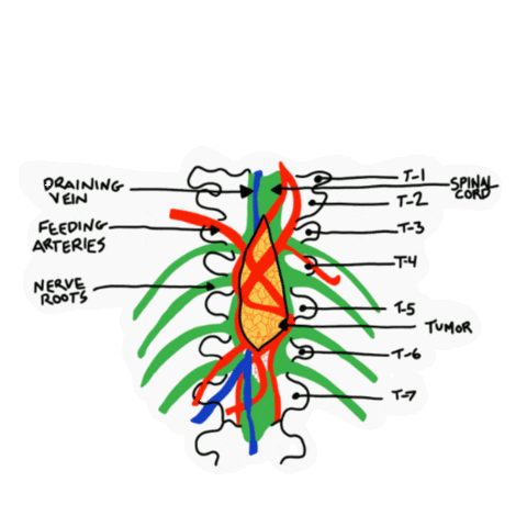 Greys Anatomy Neuro Sticker by JBR Graphics