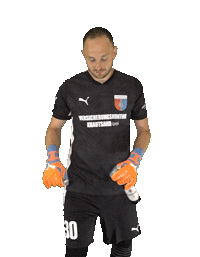 SV Drochtersen/Assel Sticker