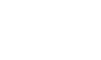 Pig Sticker by Primo Ceramic Grills