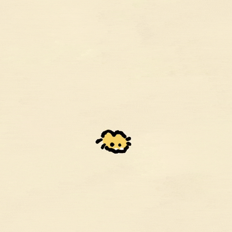 Dance Cat GIF