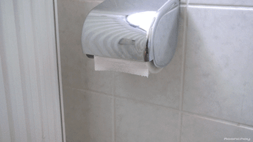 The Talking Toilet GIFs - Find & Share on GIPHY