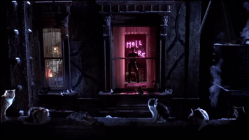 Wake Up Morning GIF