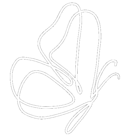 Butterfly Motyl Sticker